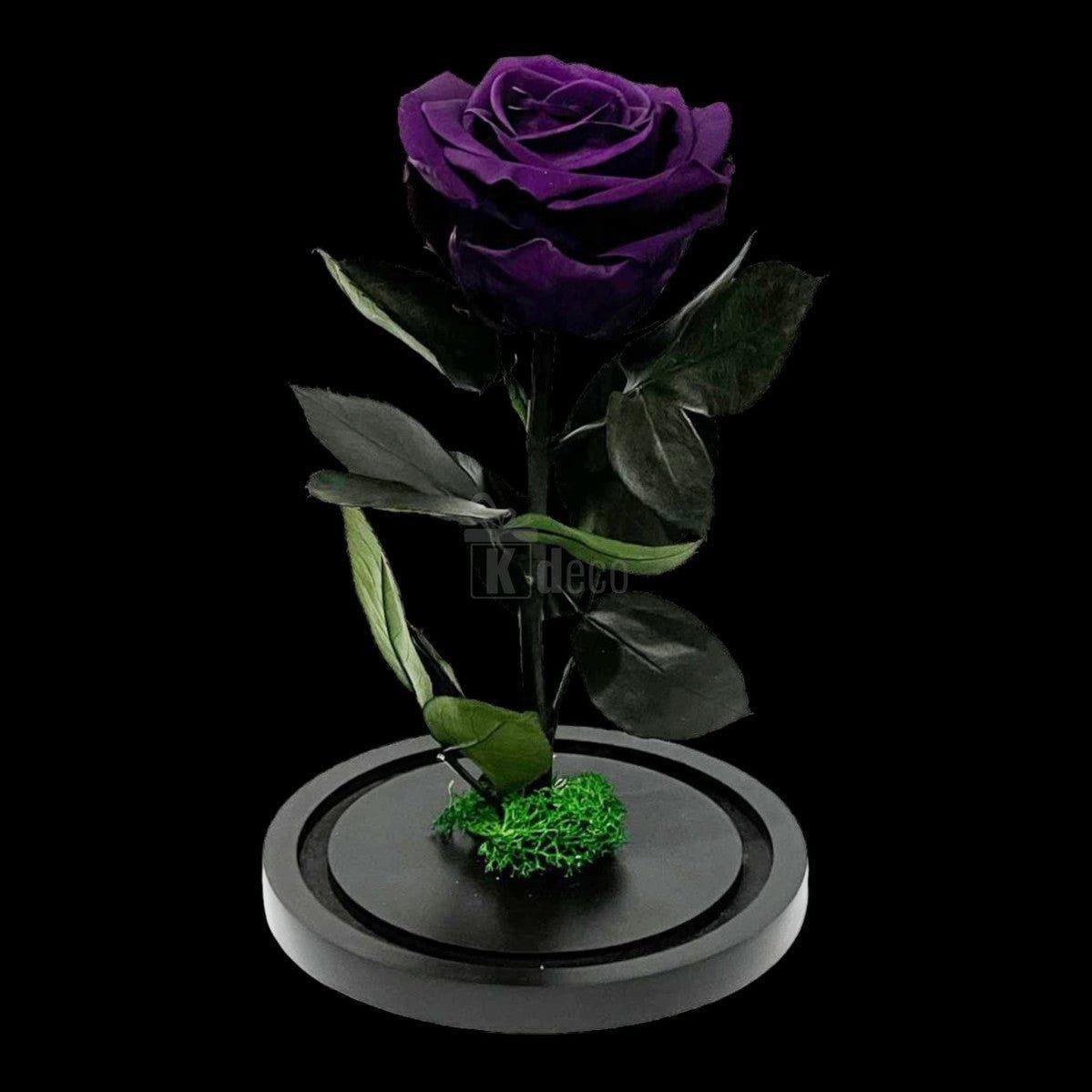 Trandafir Criogenat Etern Mov fără cupolă, pe suport rotund negru, ideal pentru cadouri elegante și aranjamente florale deosebite.