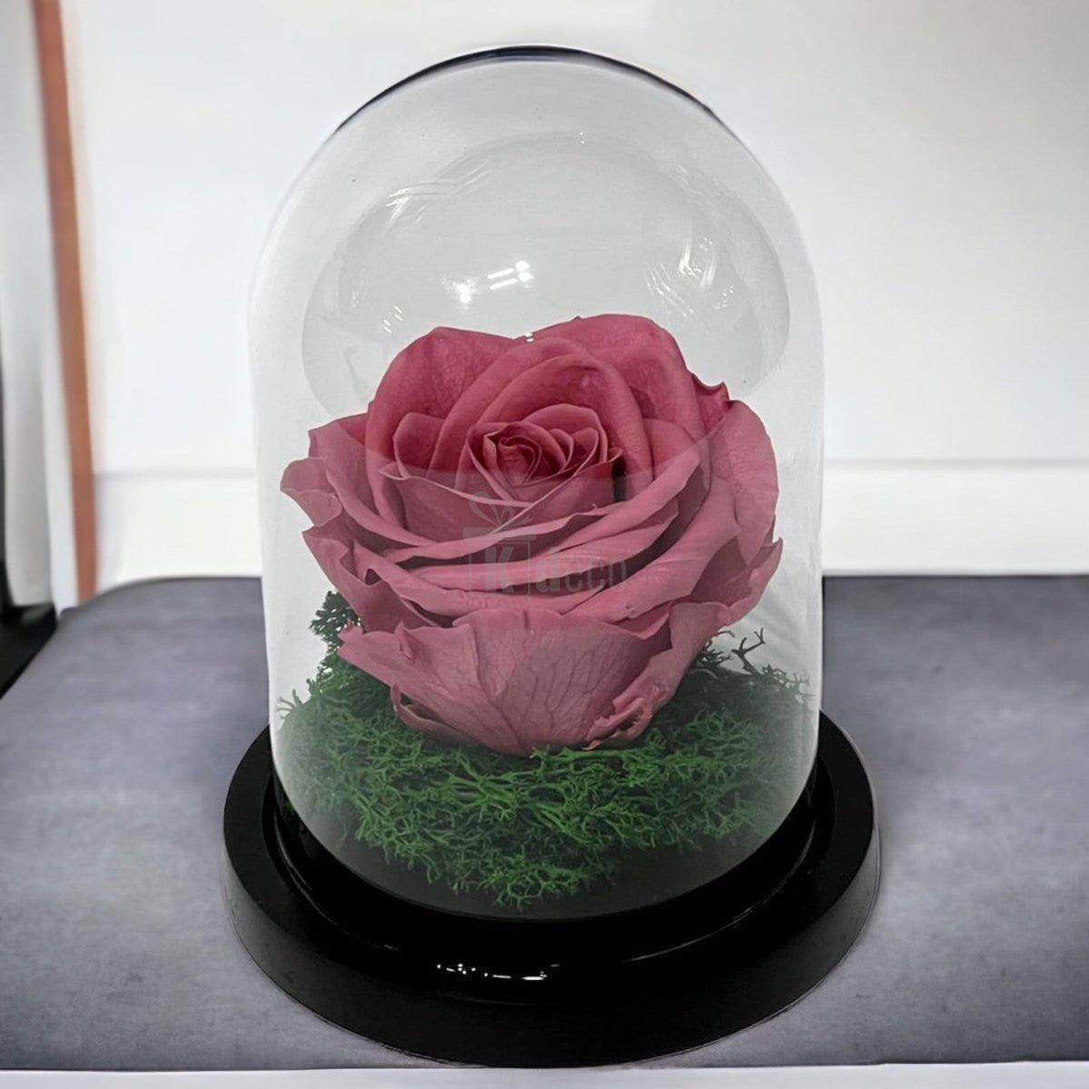 Trandafir Criogenat Nemuritor Premium Mov Pudrat, Cupola de Sticla, 25 Ani Rezistenta - Kdeco.ro