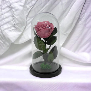 Trandafir Criogenat Nemuritor Premium Mov-Pudrat în Cupolă de Sticlă 8cm x 12x25cm - Kdeco.ro