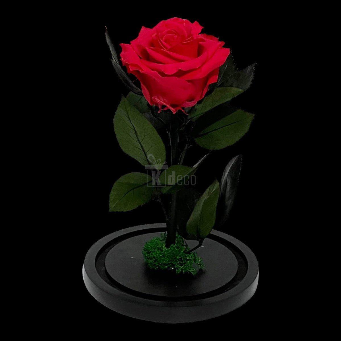 Trandafir Criogenat Etern Premium Roz Închis de 8cm pe suport negru, ideal pentru cadouri romantice și decor elegant.