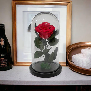 Trandafir Criogenat Nemuritor Premium Roz-Inchis în Cupolă de Sticlă - 8cm Diametru - Kdeco.ro