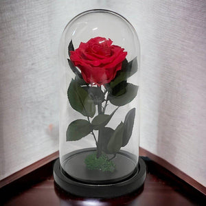 Trandafir Criogenat Nemuritor Premium Roz-Inchis în Cupolă de Sticlă - 8cm Diametru - Kdeco.ro