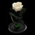 Trandafir Criogenat Nemuritor Premium Sampanie - Cupola Sticla, 8cm - Personalizabil - Kdeco.ro