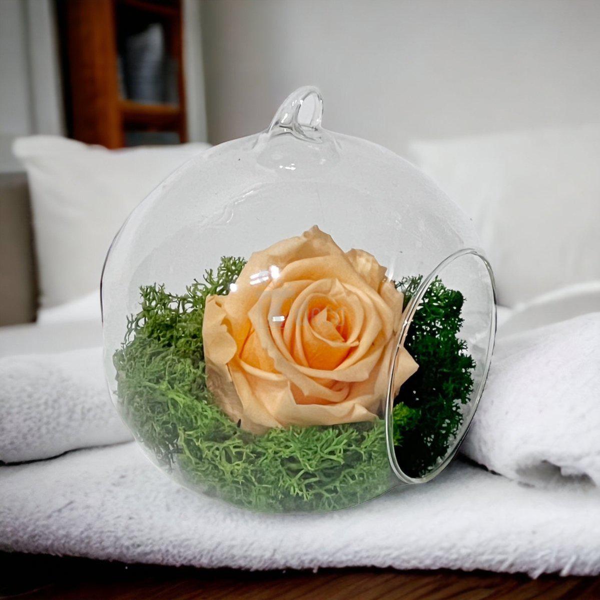 Trandafir Criogenat Piersică XL în Glob de Sticlă 12cm - Livrare Rapidă 24h - Kdeco.ro