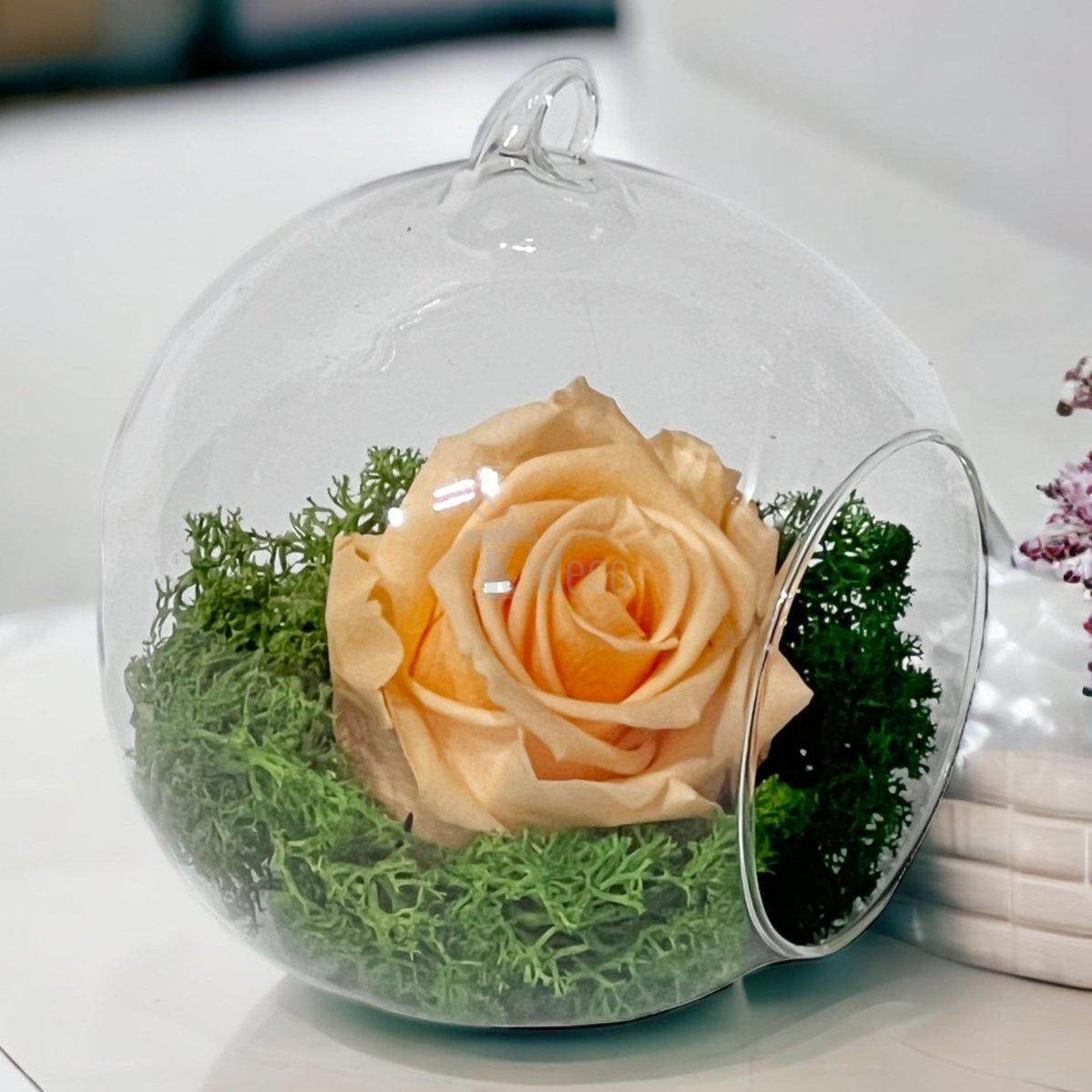 Trandafir Criogenat Piersică XL în Glob de Sticlă 12cm - Livrare Rapidă 24h - Kdeco.ro
