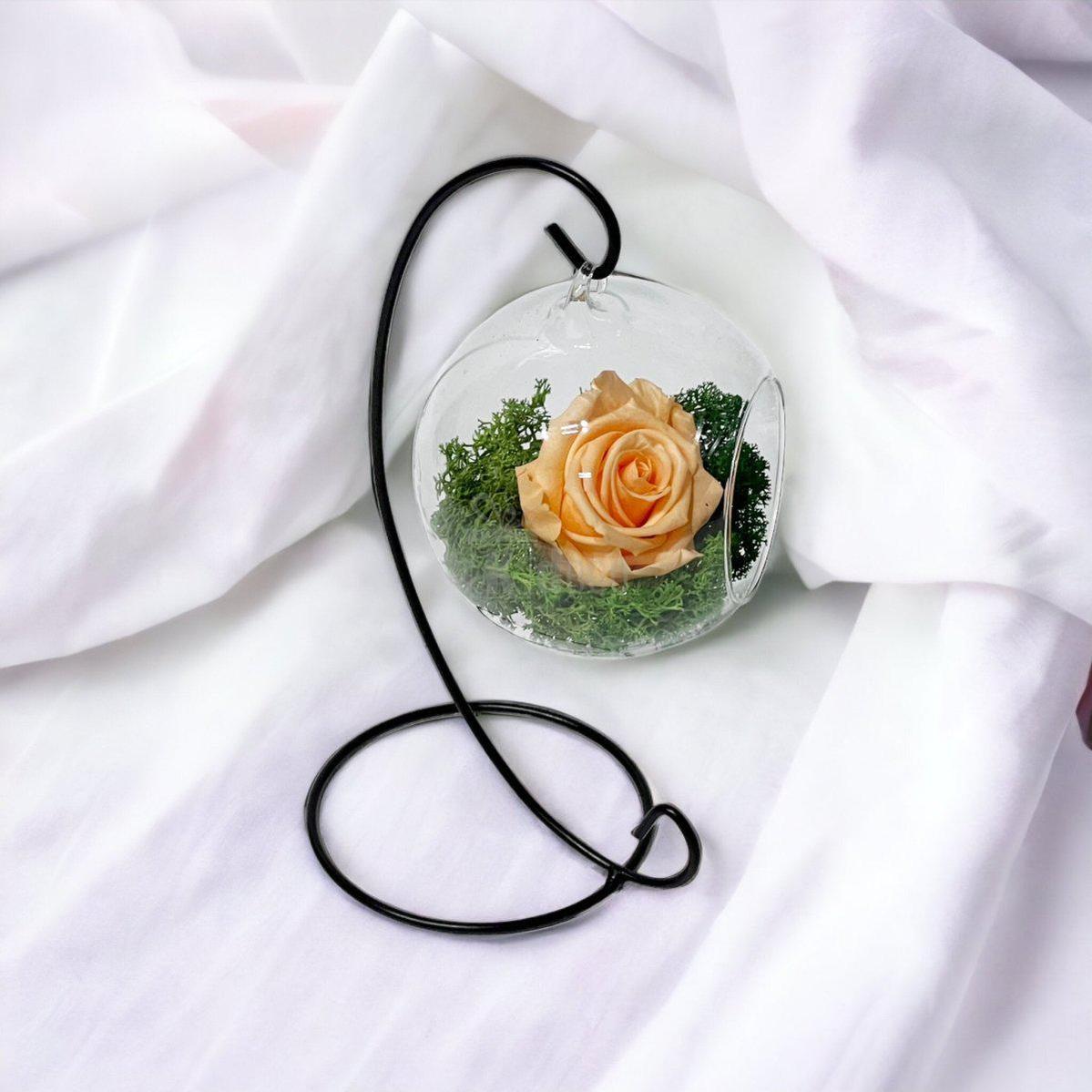 Trandafir Criogenat Piersică XL în Glob Sticlă Suspendat Dia. 10cm - Kdeco.ro