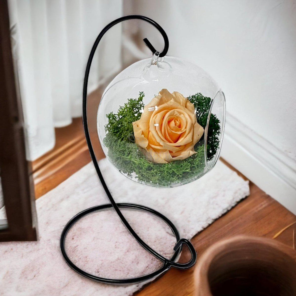 Trandafir Criogenat Piersică XL în Glob Sticlă Suspendat Dia. 10cm - Kdeco.ro