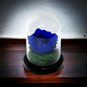 Trandafir Criogenat Premium Albastru în Cupolă de Sticlă - Kdeco.ro