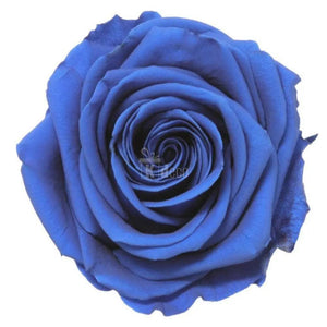 Trandafir Criogenat premium albastru Ø8cm in cupola 12x25cm - Kdeco.ro