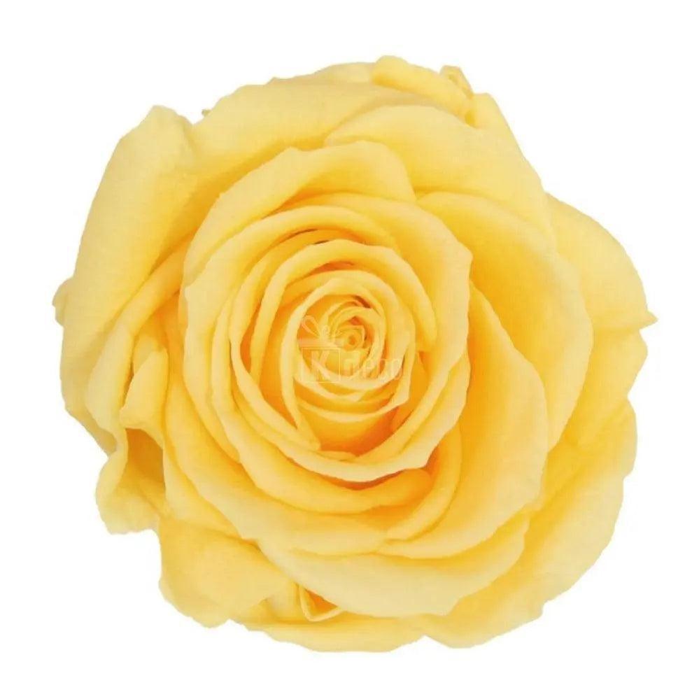 Trandafir Criogenat premium galben bright Ø8cm, cupola 12x25cm - Kdeco.ro