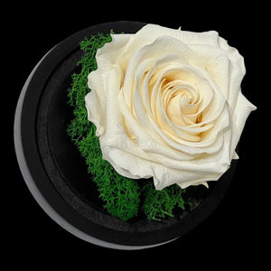 Trandafir Criogenat Premium în Cupolă de Sticlă 10x15cm | Trandafir Nemuritor 8cm | Cadou Unic pentru Ea - Kdeco.ro
