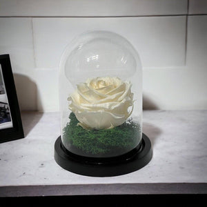 Trandafir Criogenat Premium în Cupolă de Sticlă 10x15cm | Trandafir Nemuritor 8cm | Cadou Unic pentru Ea - Kdeco.ro