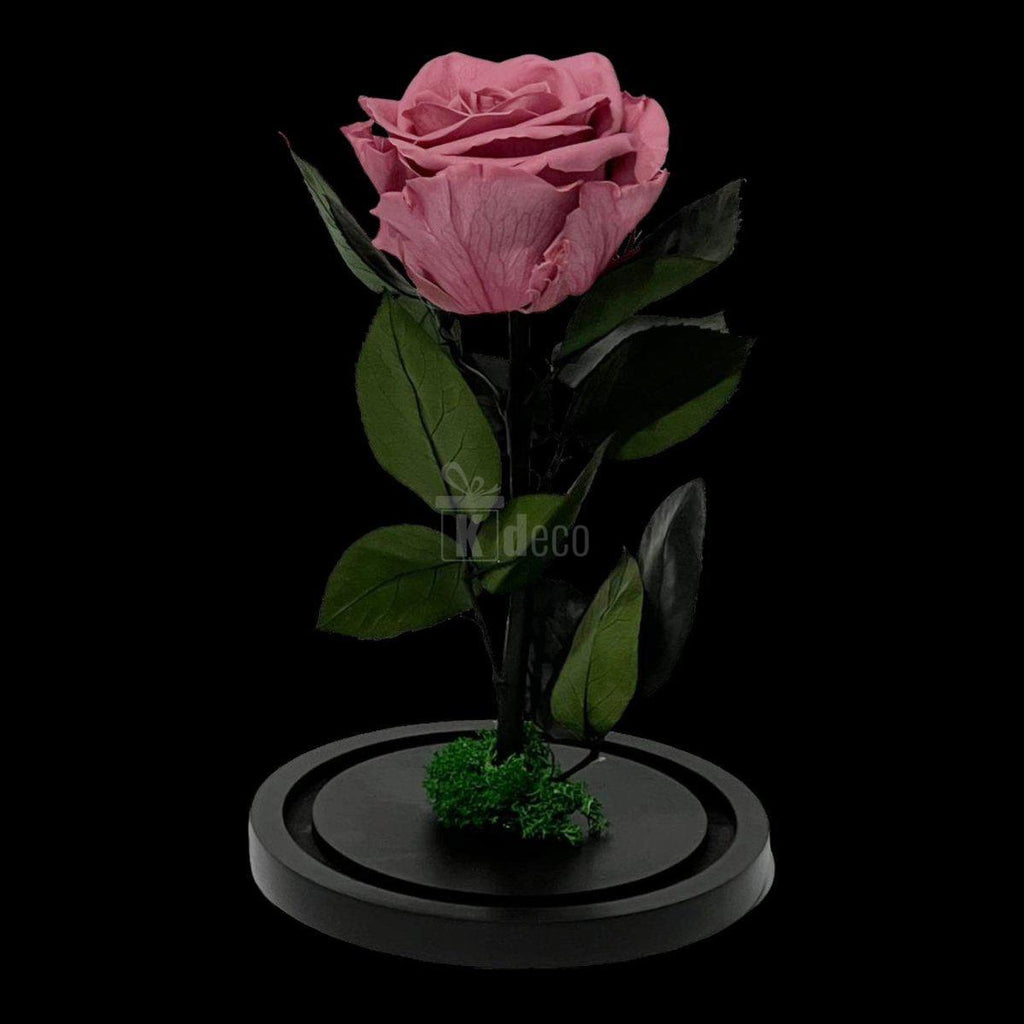 Trandafir Criogenat Premium Mov-Pudrat pe suport negru, fără cupolă, ideal pentru cadou nemuritor decorativ pentru femei