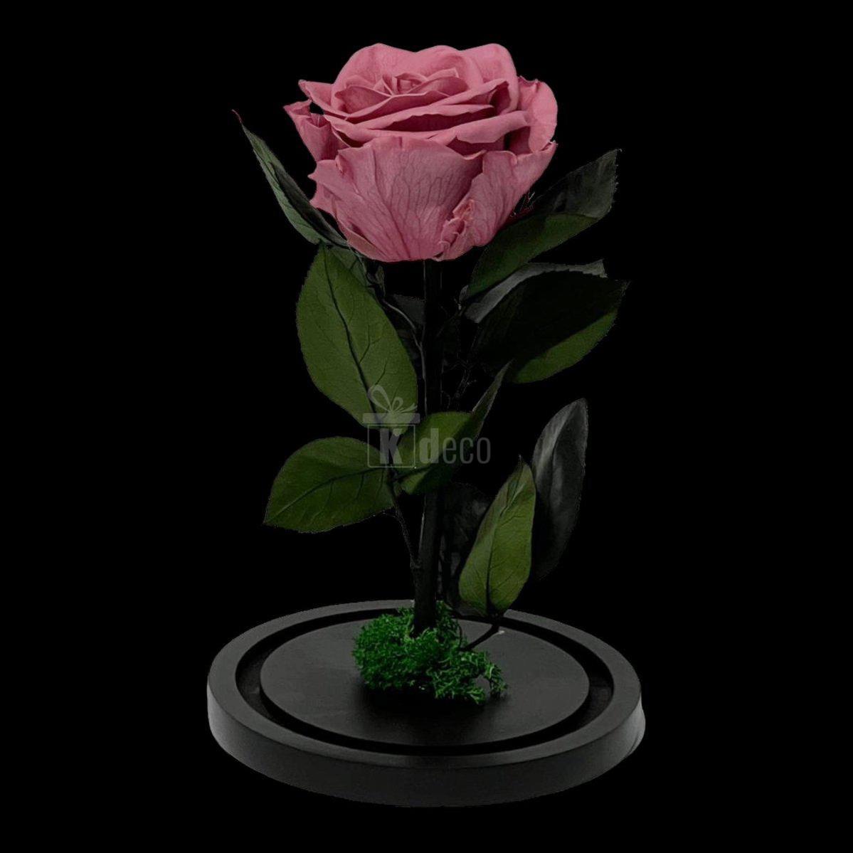 Trandafir Criogenat Premium Mov-Pudrat pe suport negru, fără cupolă, ideal pentru cadou nemuritor decorativ pentru femei