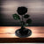 Trandafir Criogenat Premium Negru in Cupola de Sticla, 8cm - Cadou de Durata Elegant - Kdeco.ro