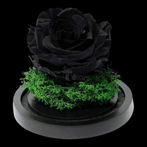 Trandafir Criogenat Premium Negru în Cupolă de Sticlă - 8cm - Kdeco.ro
