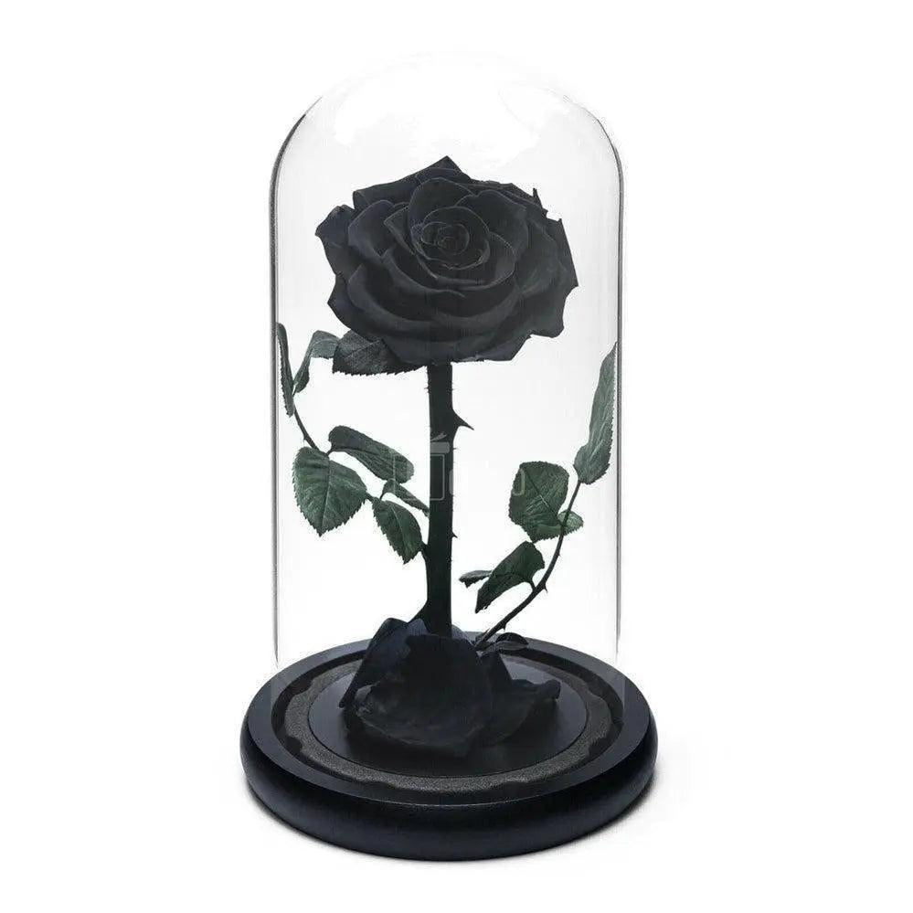 Trandafir Criogenat premium negru Ø8cm in cupola 12x25cm - Kdeco.ro
