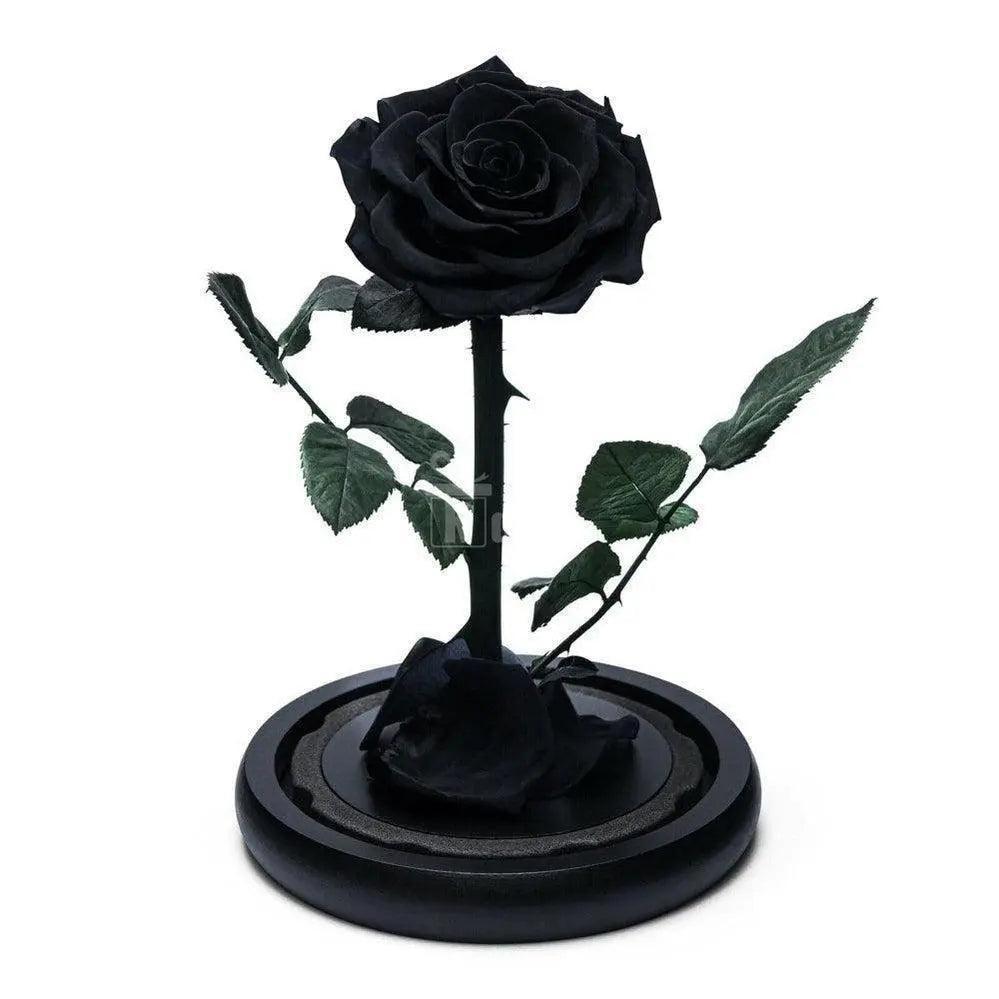 Trandafir Criogenat premium negru Ø8cm in cupola 12x25cm - Kdeco.ro
