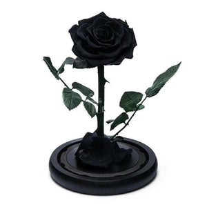 Trandafir Criogenat premium negru Ø8cm in cupola 12x25cm - Kdeco.ro