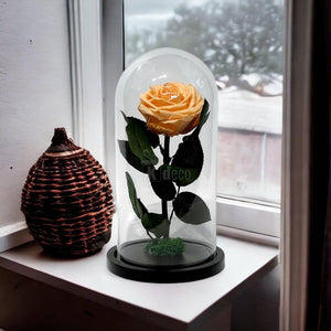Trandafir Criogenat Premium Piersică în Cupolă de Sticlă 8cm | Cadou Durabil 25 ani - Kdeco.ro