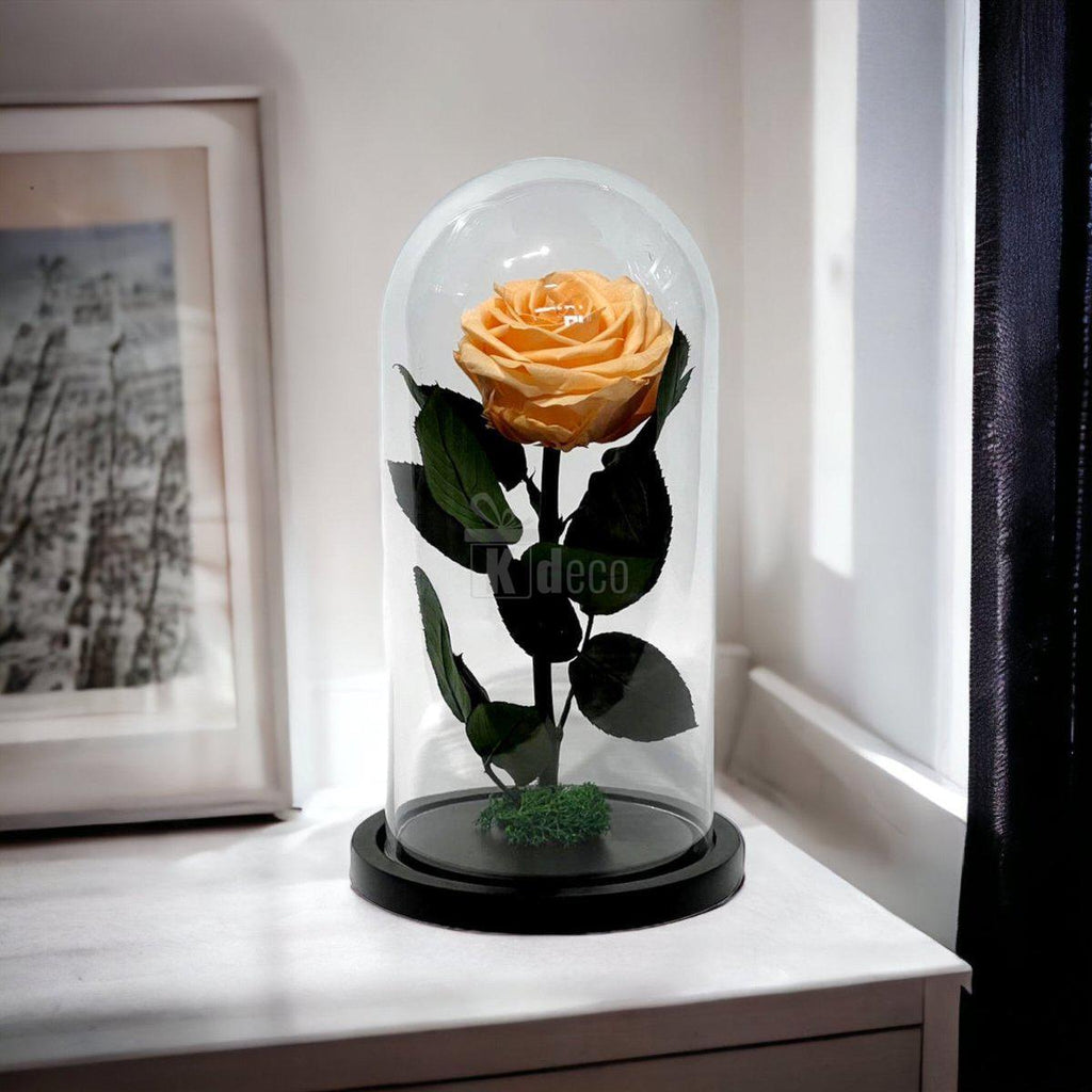 Trandafir Criogenat Premium Piersică în cupolă de sticlă, așezat pe o comodă lângă fereastră, decor floral de lux pentru interior.