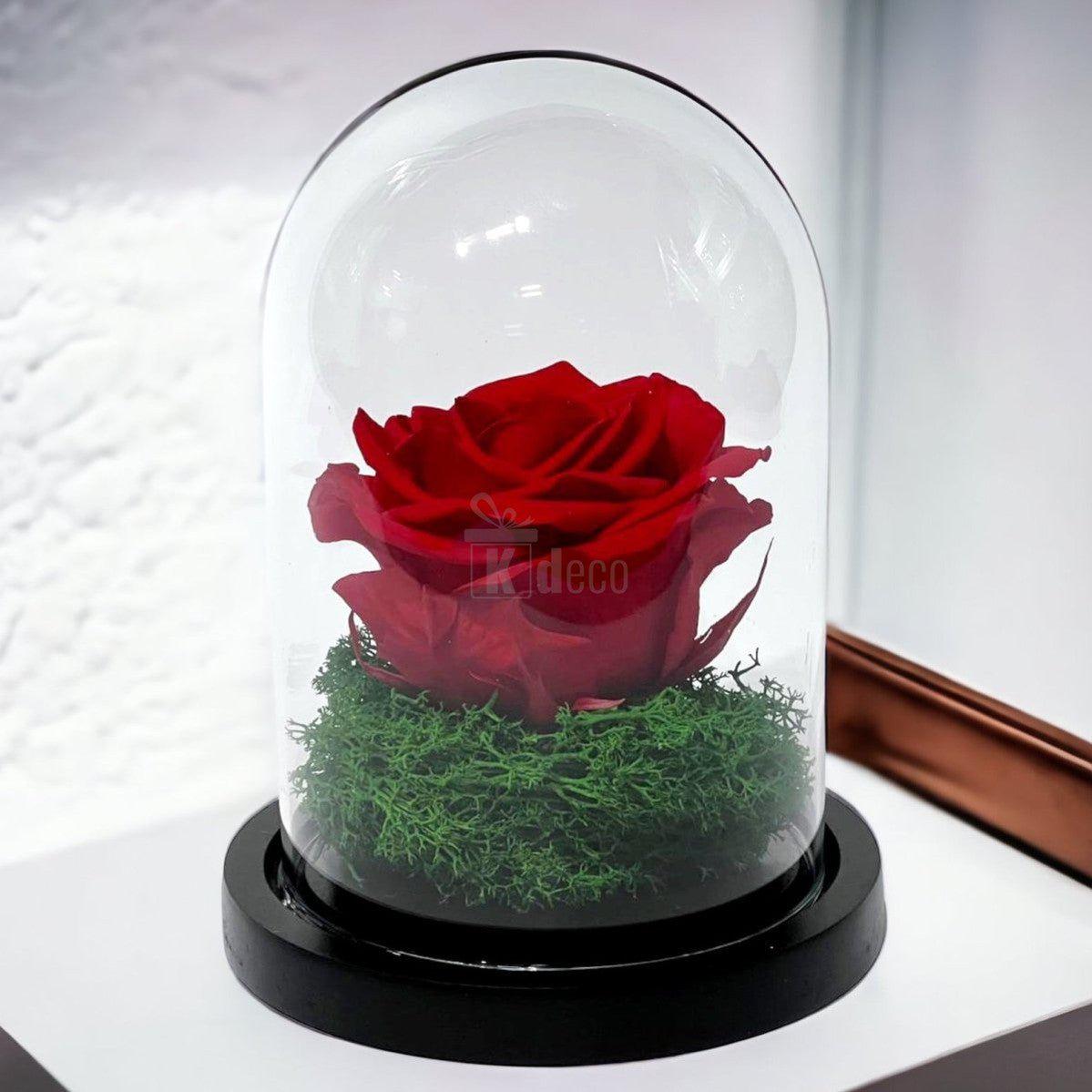 Trandafir Criogenat Premium Rosu in Cupola de Sticla - 25 de Ani de Prospetime - Kdeco.ro