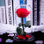 Trandafir Criogenat premium rosu Ø8cm in cupola sticla 12x25cm - Kdeco.ro