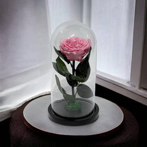 Trandafir Criogenat Premium Roz Deschis în Cupolă de Sticlă - Kdeco.ro