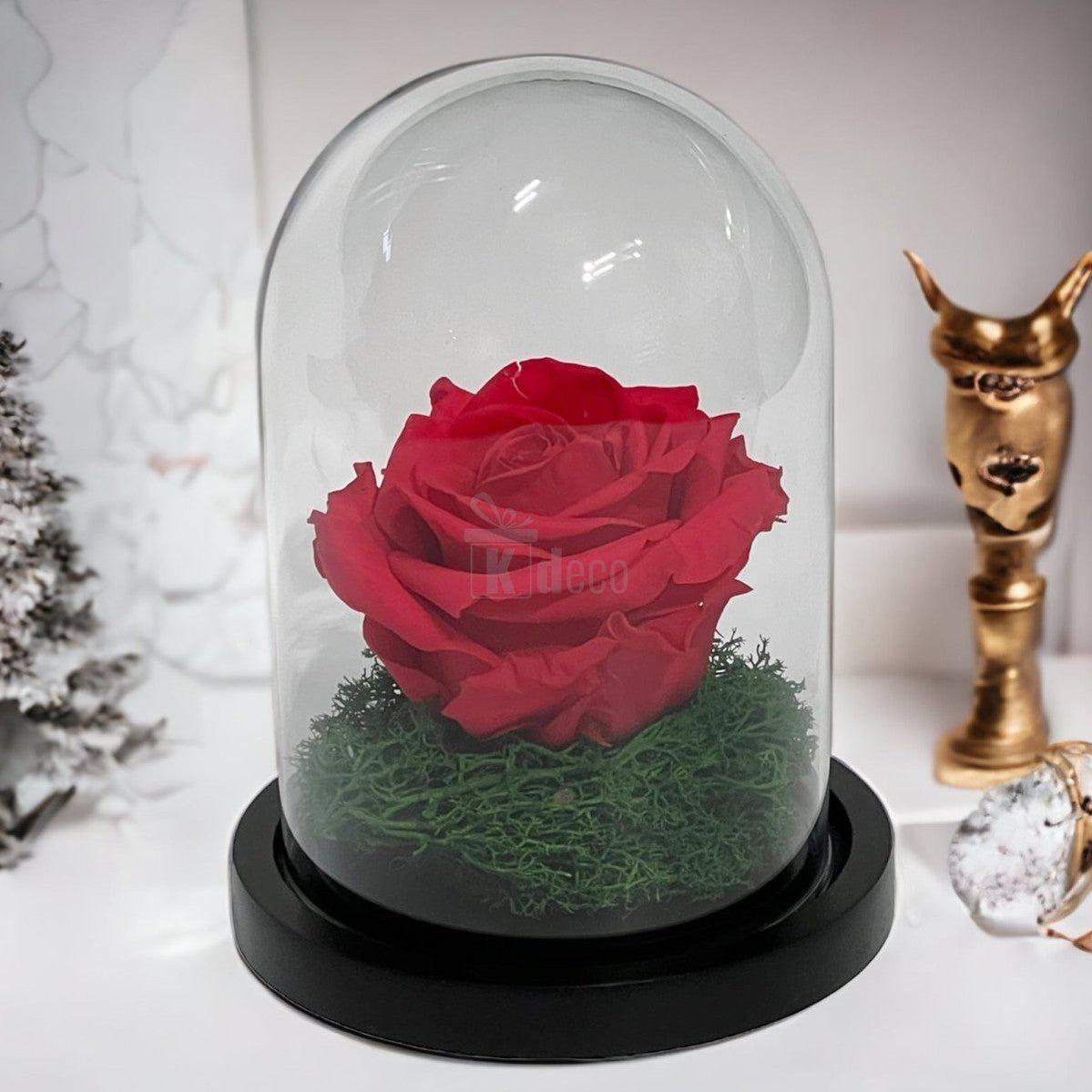 Trandafir Criogenat Premium Roz Inchis în Cupolă de Sticlă - 8cm - Kdeco.ro