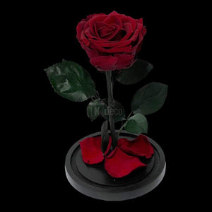 Trandafir Criogenat Premium Visiniu în Cupolă de Sticlă - 25 de ani proaspăți de dragoste eternă! - Kdeco.ro