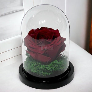Trandafir Criogenat Premium Visiniu în Cupolă de Sticlă 8cm - Kdeco.ro