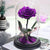 Trandafir Criogenat purpuriu bonita Ø9,5cm in cupola 15x25cm - Kdeco.ro