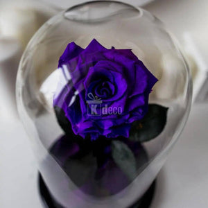 Trandafir Criogenat purpuriu inchis xl Ø6,5cm in cupola - Kdeco.ro