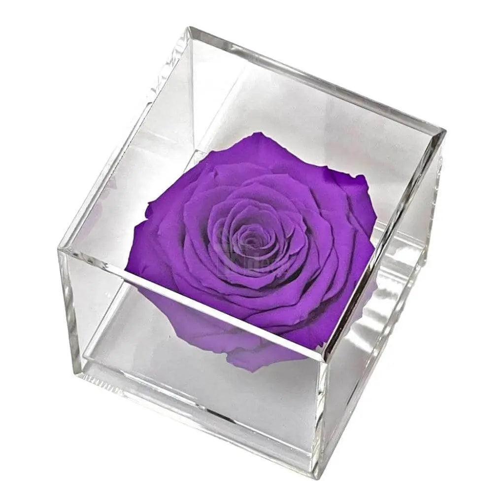 Trandafir Criogenat purpuriu Ø6cm in cutie transparenta 9x9x9cm - Kdeco.ro