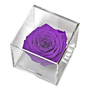 Trandafir Criogenat purpuriu Ø6cm in cutie transparenta 9x9x9cm - Kdeco.ro