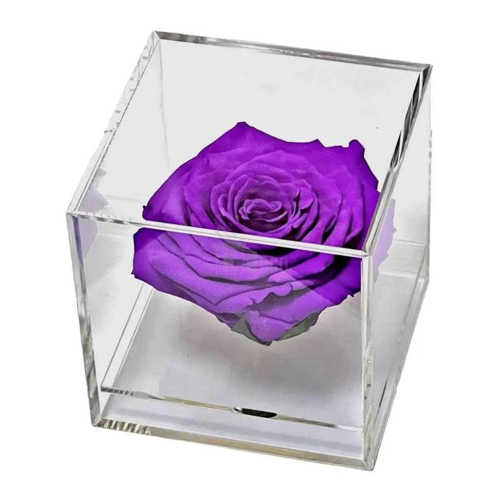 Trandafir Criogenat purpuriu Ø6cm in cutie transparenta 9x9x9cm - Kdeco.ro