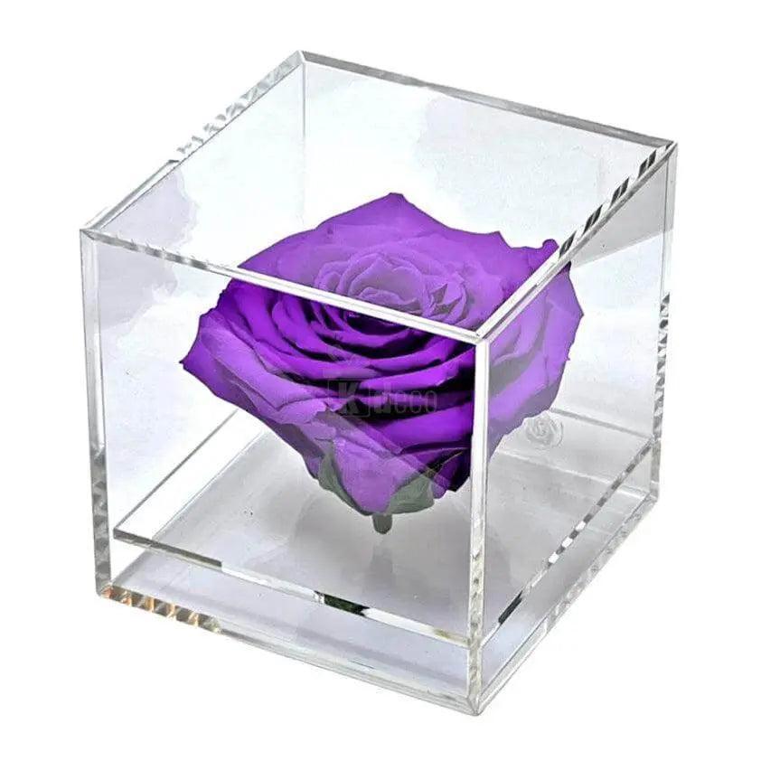 Trandafir Criogenat purpuriu Ø6cm in cutie transparenta 9x9x9cm - Kdeco.ro