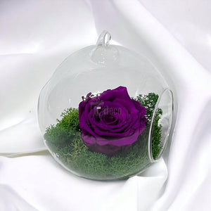 Trandafir Criogenat Purpuriu XL în Glob Sticlă, Diam. 6,5cm, Livrare Rapidă - Kdeco.ro