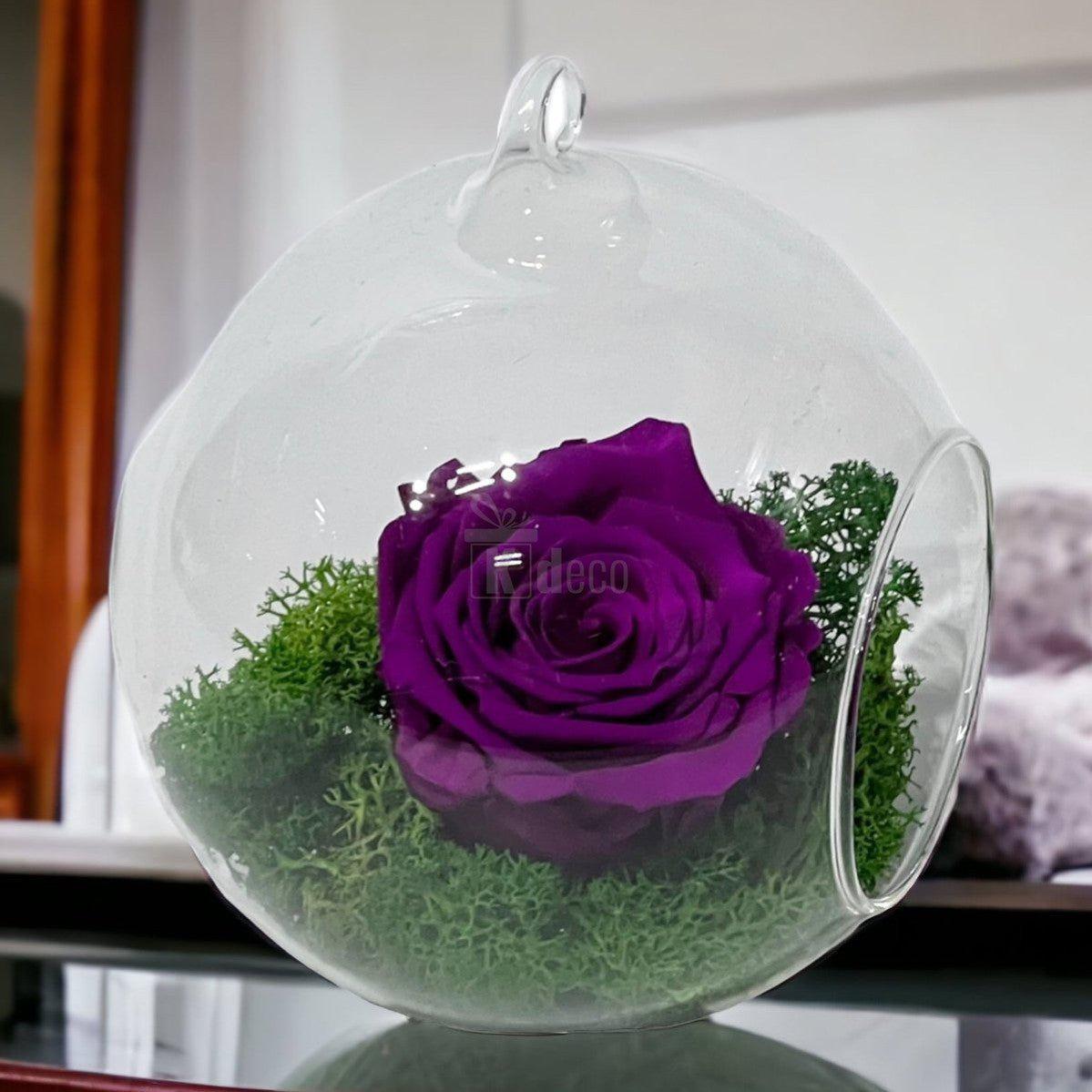 Trandafir Criogenat Purpuriu XL în Glob Sticlă, Diam. 6,5cm, Livrare Rapidă - Kdeco.ro