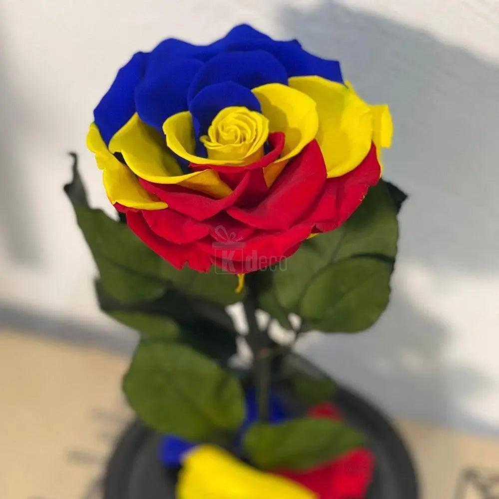 Trandafir criogenat în nuanțe de roșu, galben și albastru, prezentat fără cupolă, ideal ca decor sau cadou deosebit pentru femei.