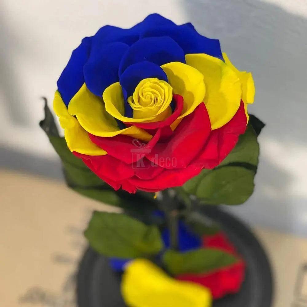 Trandafir criogenat multicolor cu petale în culorile tricolorului, aranjament floral premium din categoria cadouri elegante și durabile.