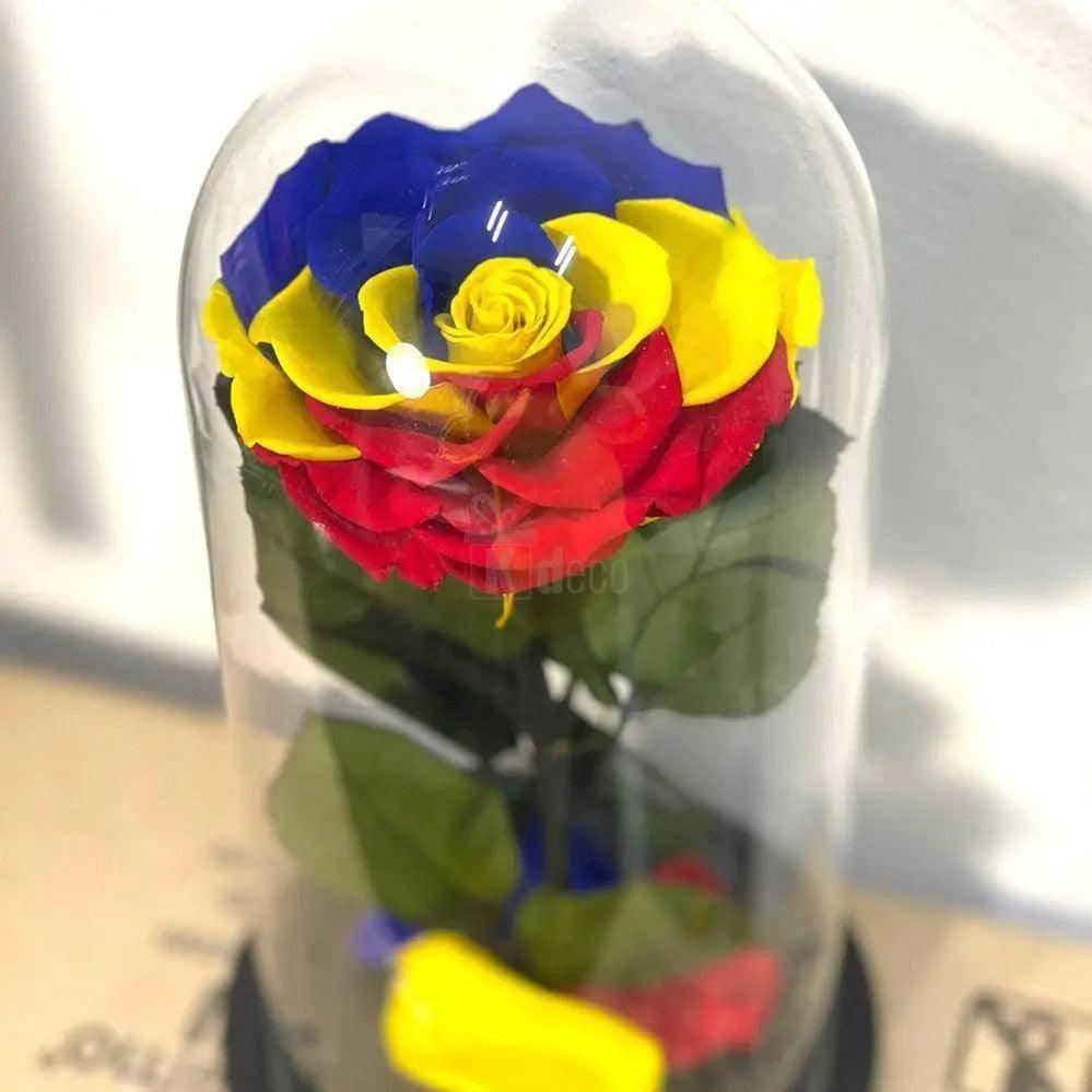 Trandafir Criogenat RO multicolor Ø9,5cm in cupola sticla - Kdeco.ro