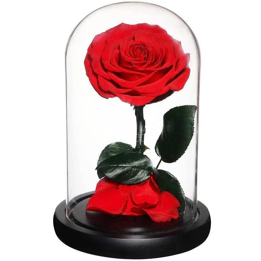 Trandafir Criogenat rosu bonita Ø9,5cm in cupola 12x25cm - Kdeco.ro