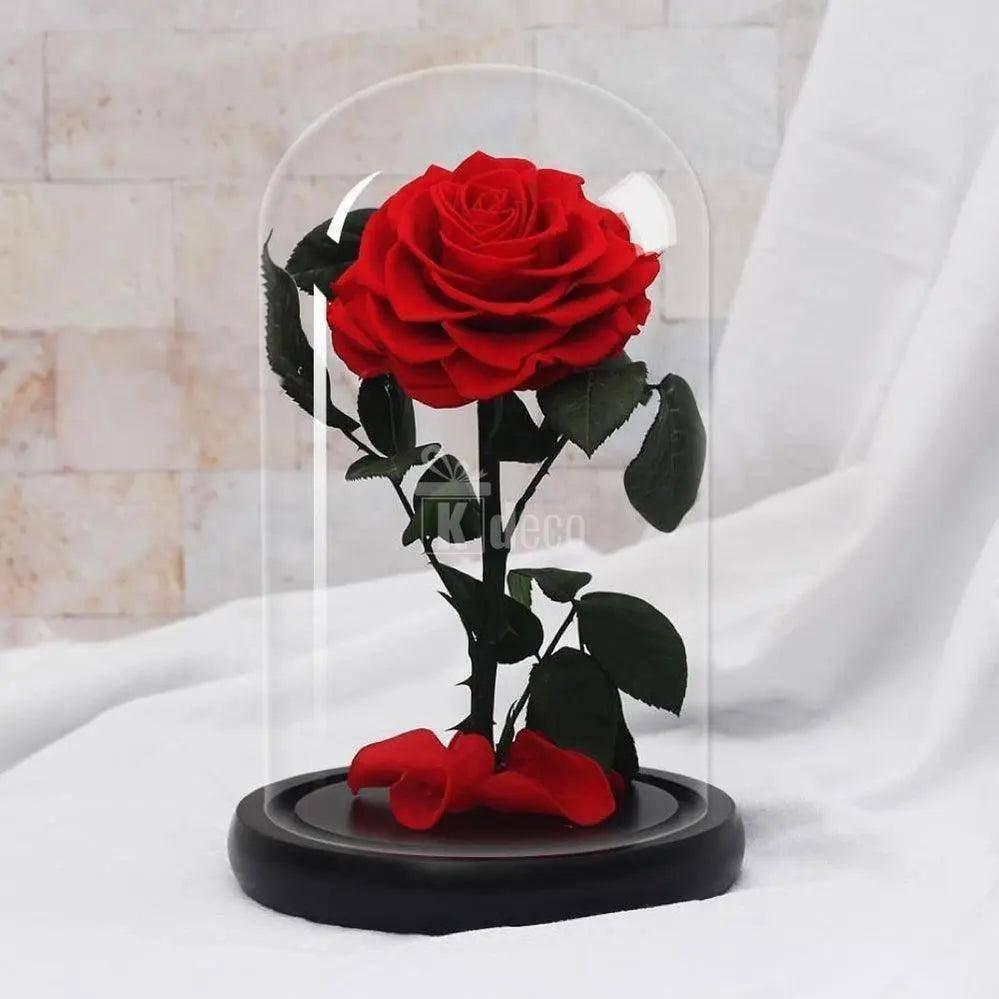Trandafir Criogenat rosu Bonita Ø9,5cm in cupola 15x25cm - Kdeco.ro