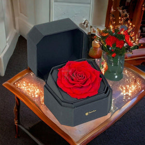 Trandafir Criogenat Roșu în Cutie Neagră Premium – Cadou de Lux - Kdeco.ro