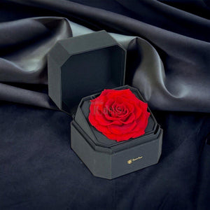 Trandafir Criogenat Roșu în Cutie Neagră Premium – Cadou de Lux - Kdeco.ro