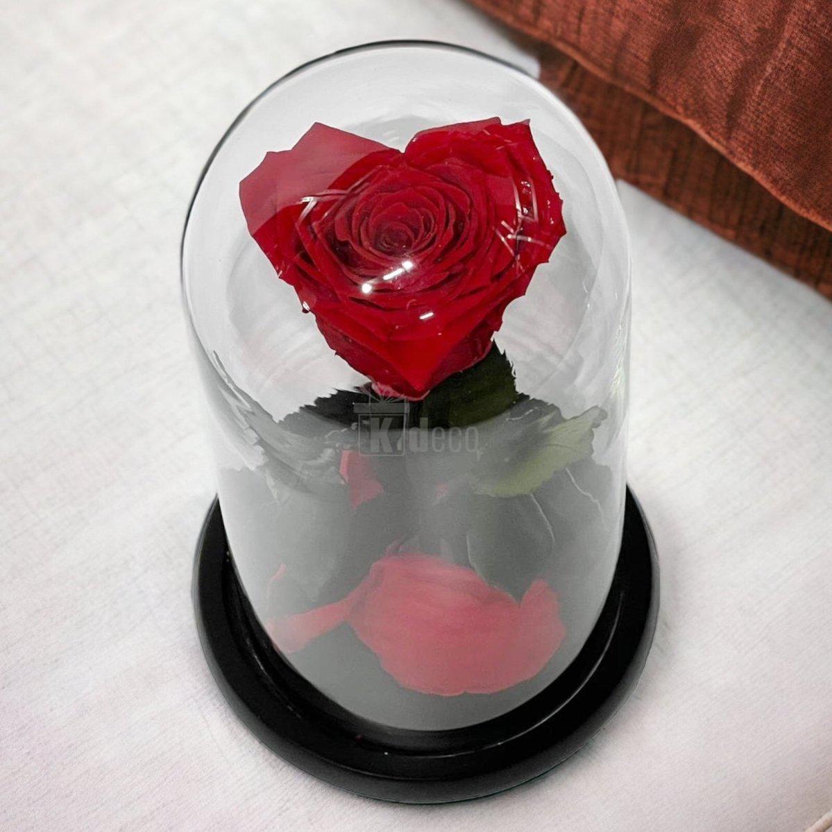 Trandafir Criogenat Rosu in Forma de Inima - Cupola de Sticla - Kdeco.ro