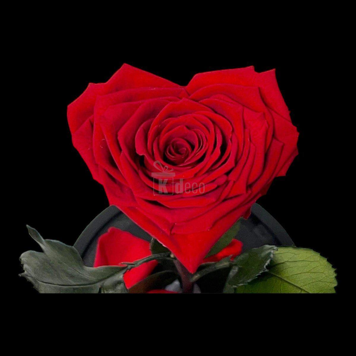 Trandafir Criogenat Rosu in Forma de Inima - Cupola de Sticla - Kdeco.ro