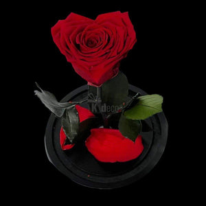 Trandafir Criogenat Rosu in Forma de Inima - Cupola de Sticla - Kdeco.ro