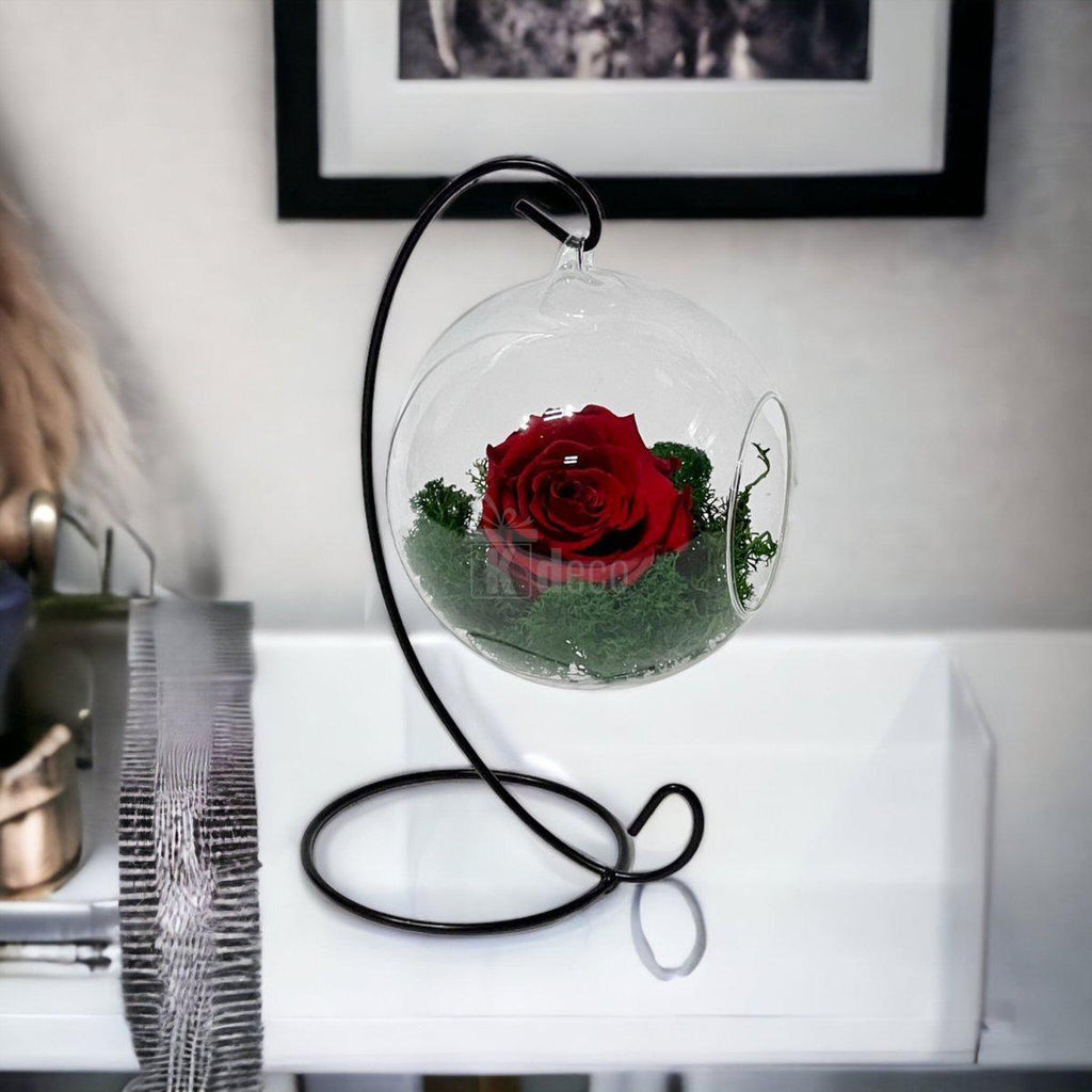 Trandafir Criogenat Rosu in Glob de Sticla Suspendat, Dia. 12cm - Kdeco.ro